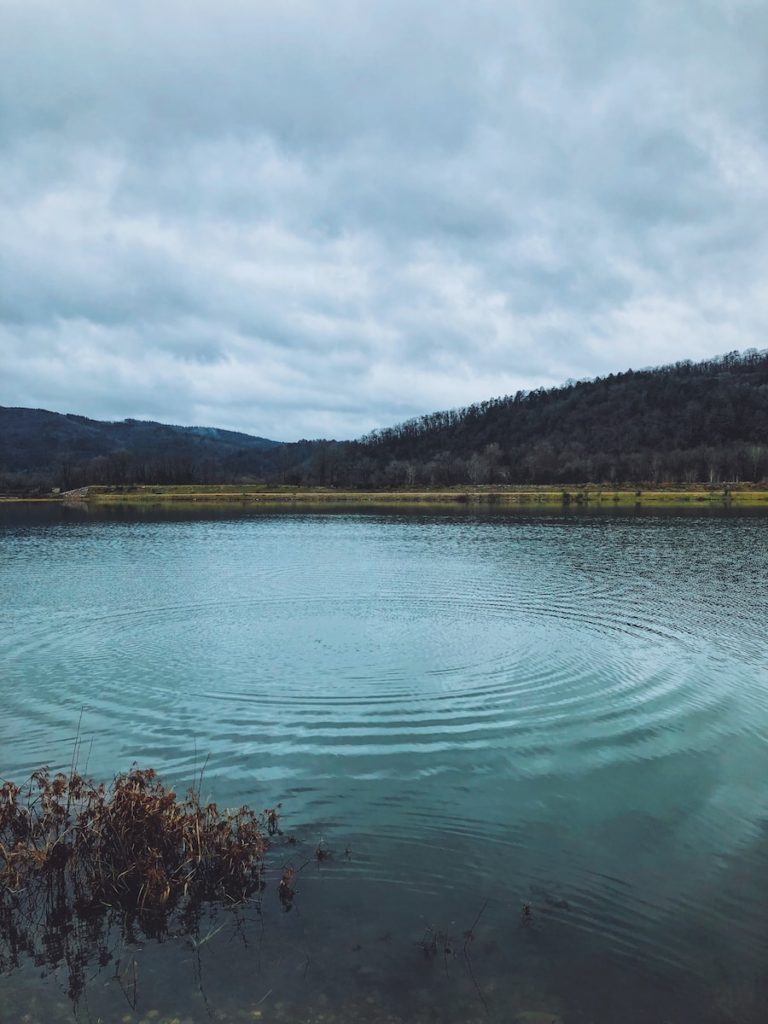 a body of water surrounded by a lush green hillside