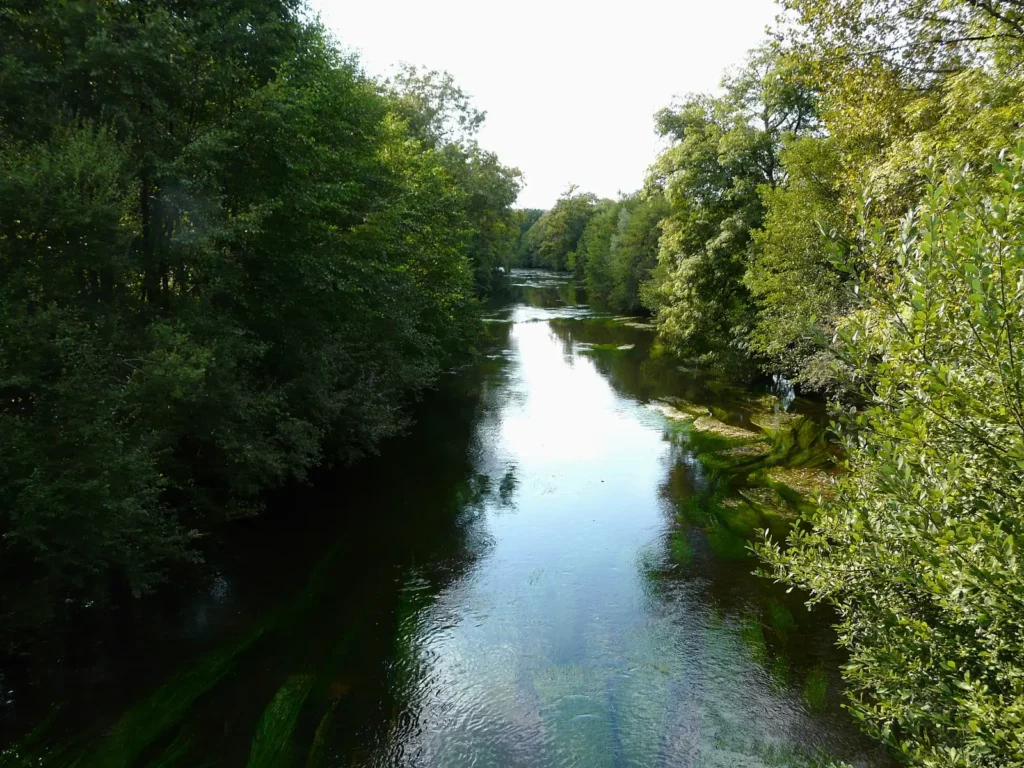 Bourdeilles — la Dronne entre les arbres