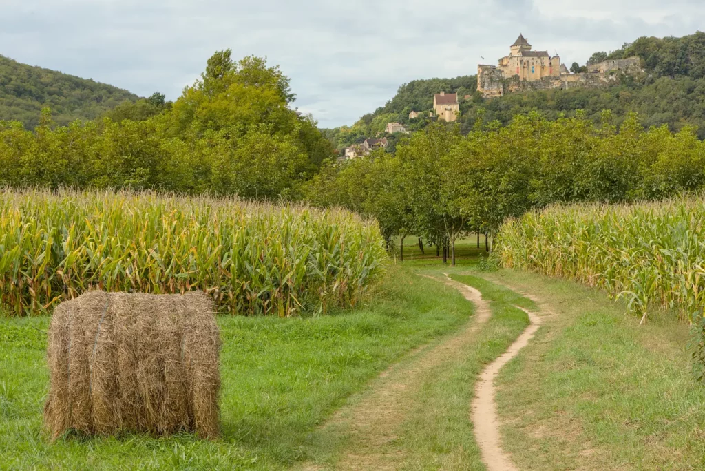 Castelnaud-la-Chapelle — le château vu du chemin de halage, au bord de la rivière