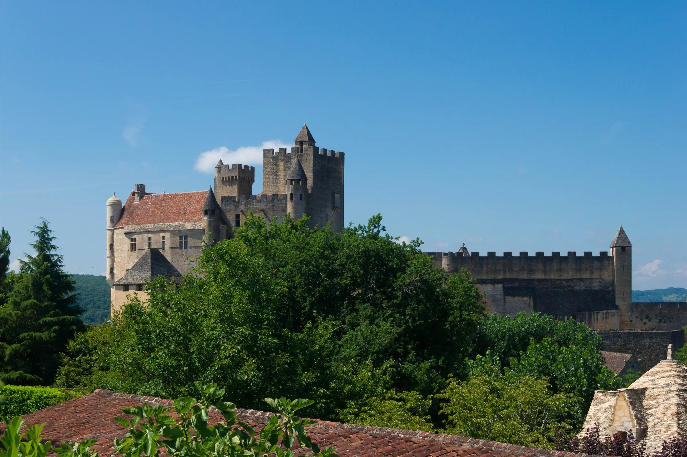 Château de Beynac — Le château de Beynac, donjon crénelé et logis, émergeant de la verdure sous un ciel bleu.