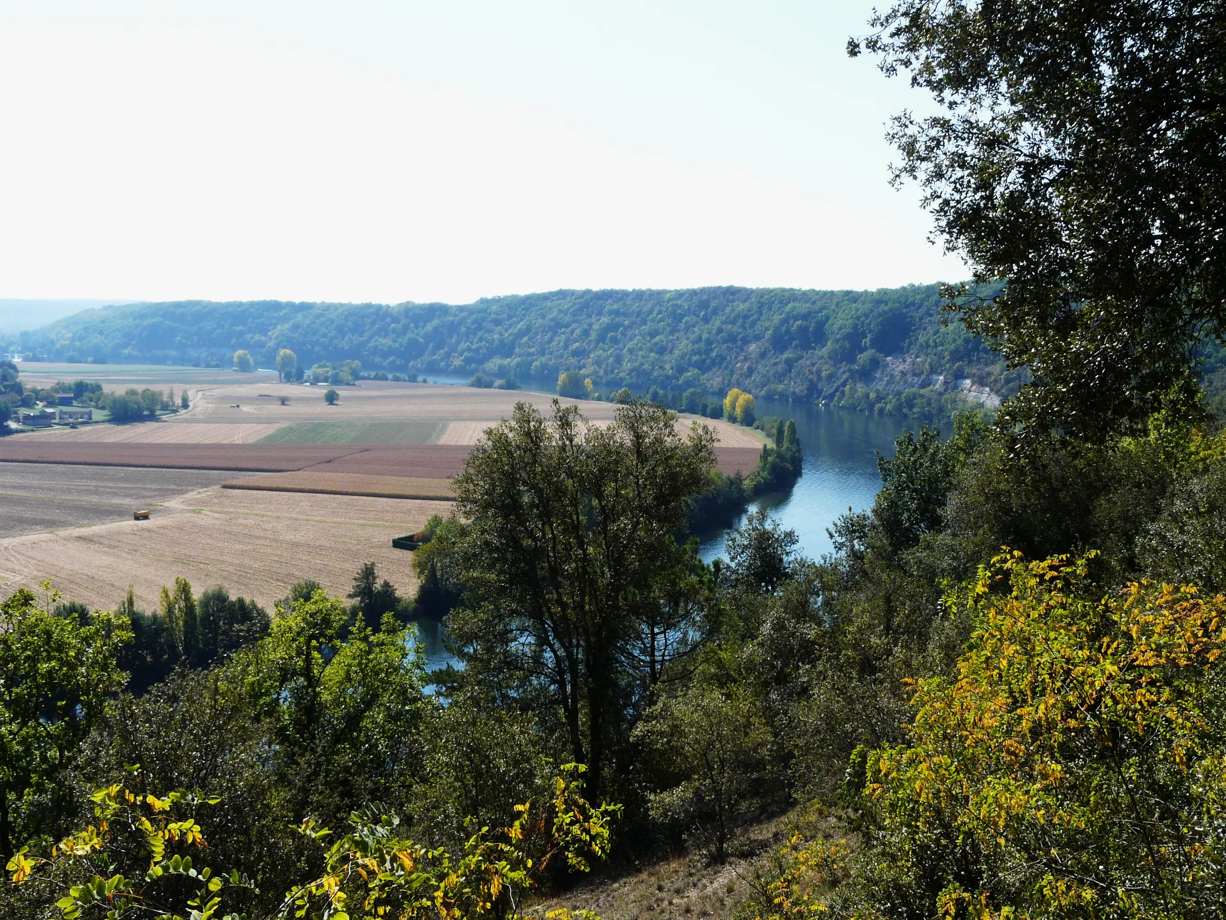 Cingle de Trémolat — la grande boucle de la Dordogne au cingle de Trémolat