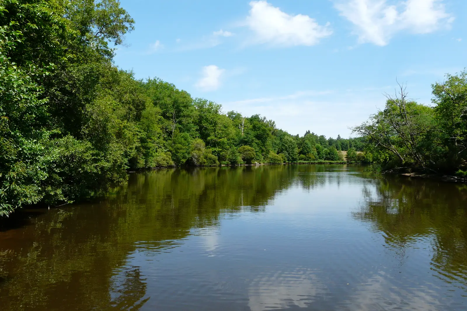 Grand étang de Saint-Estèphe bordé de forêt, près de Nontron en Périgord vert
