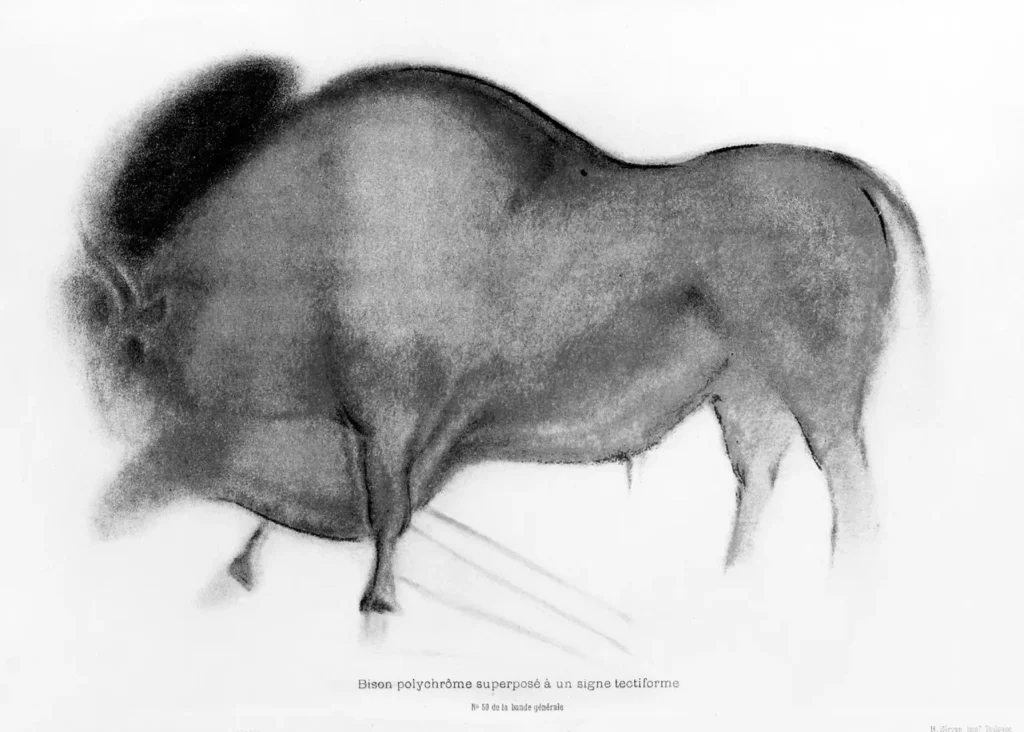 Grotte de Font-de-Gaume — Relevé d'un bison polychrome de Font-de-Gaume par l'abbé Breuil (1910), dessin sur fond clair.