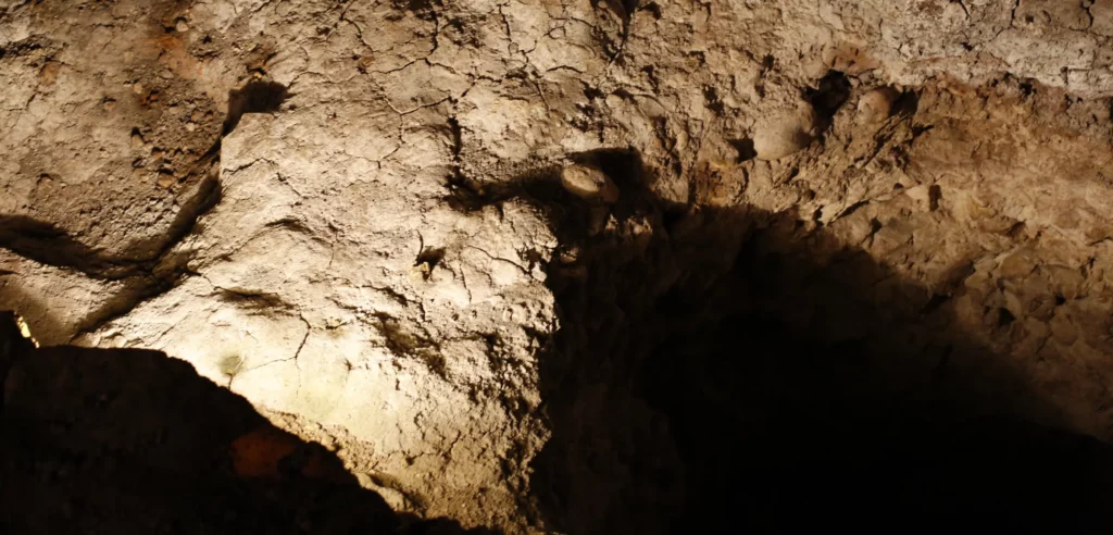 Grotte de Rouffignac