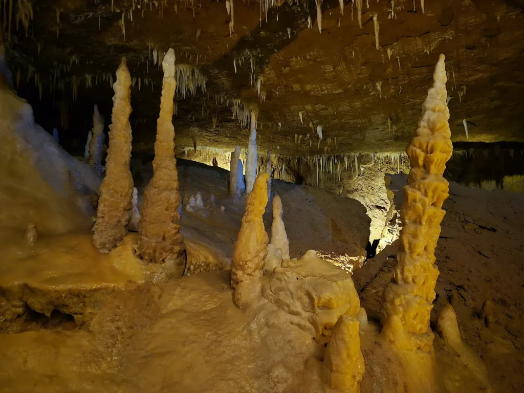 Grotte de Tourtoirac — une forêt de stalagmites éclairées