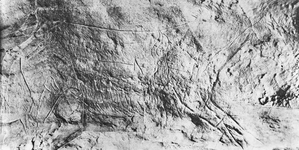 Grotte des Combarelles — chevaux et bisons gravés sur la paroi de la grotte