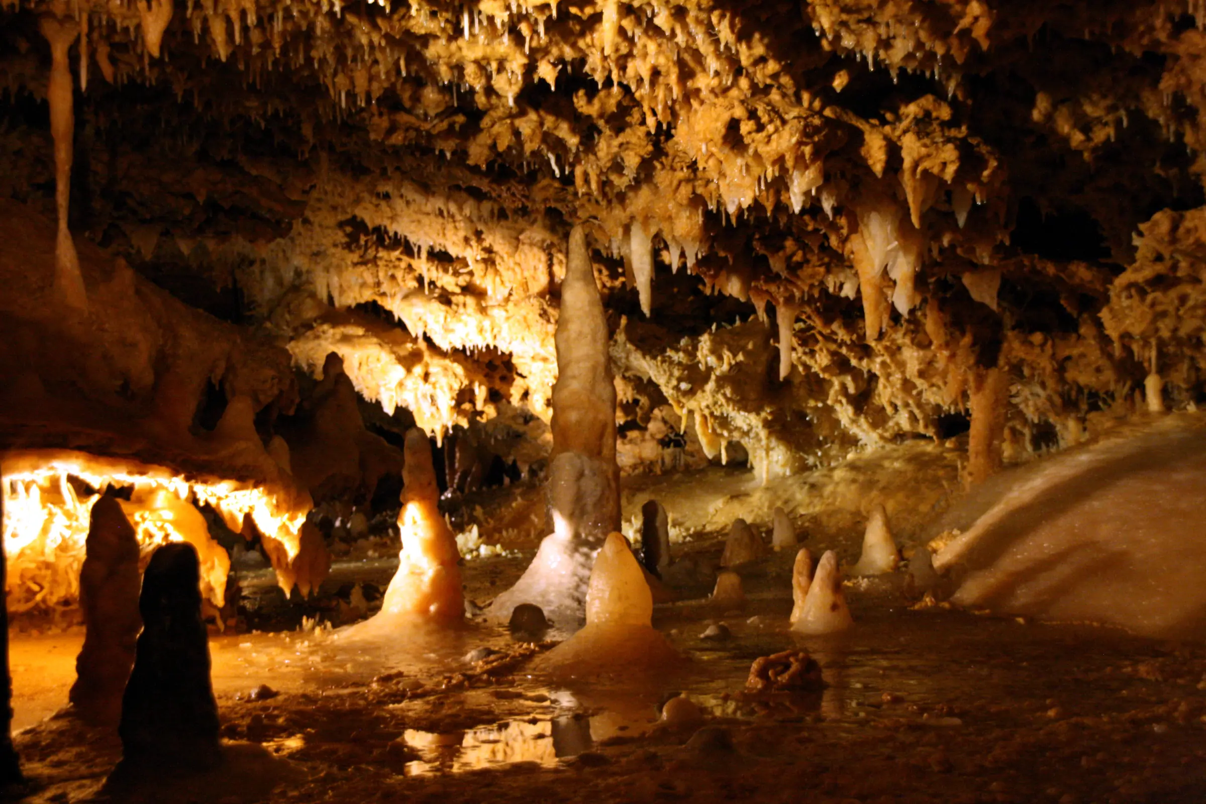 Grotte du Grand Roc — stalactites et stalagmites éclairées
