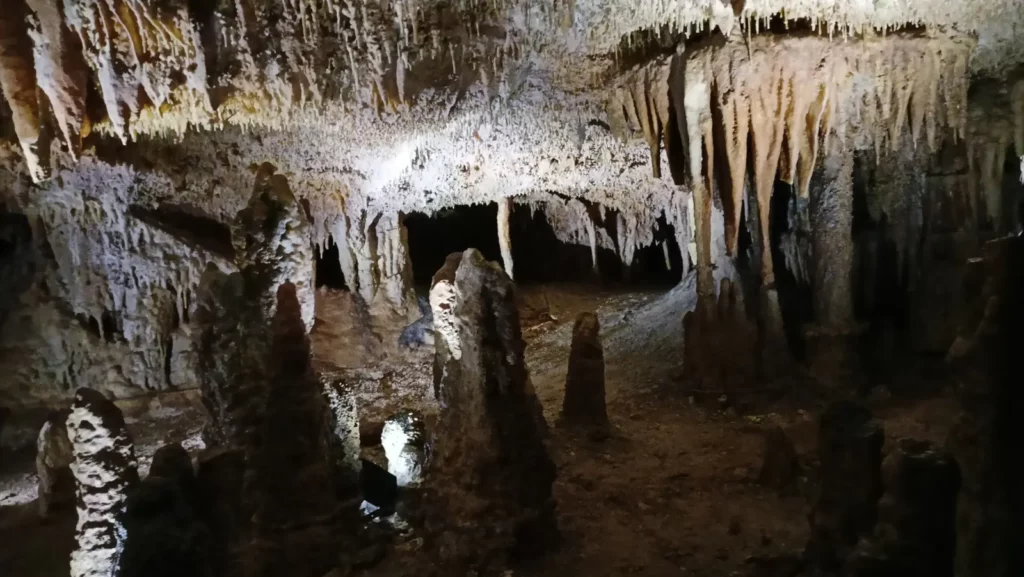 Grotte de Domme — forêt de stalagmites et plafond de fistuleuses dans la grotte de Domme