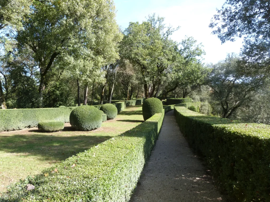 Jardins suspendus de Marqueyssac — L'esplanade et ses buis taillés en boules le long des allées.