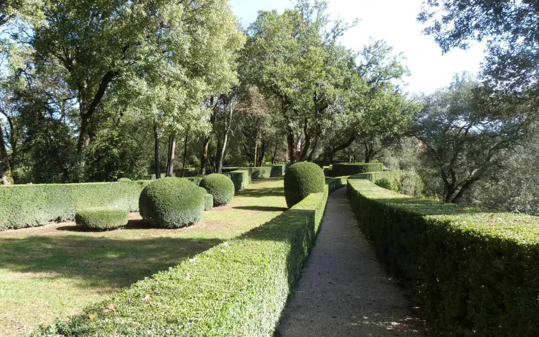 Jardins suspendus de Marqueyssac — L'esplanade et ses buis taillés en boules le long des allées.