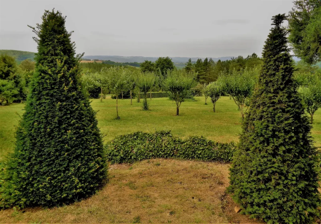 Jardins du manoir d’Eyrignac — Ifs taillés en cônes encadrant la perspective sur le verger.