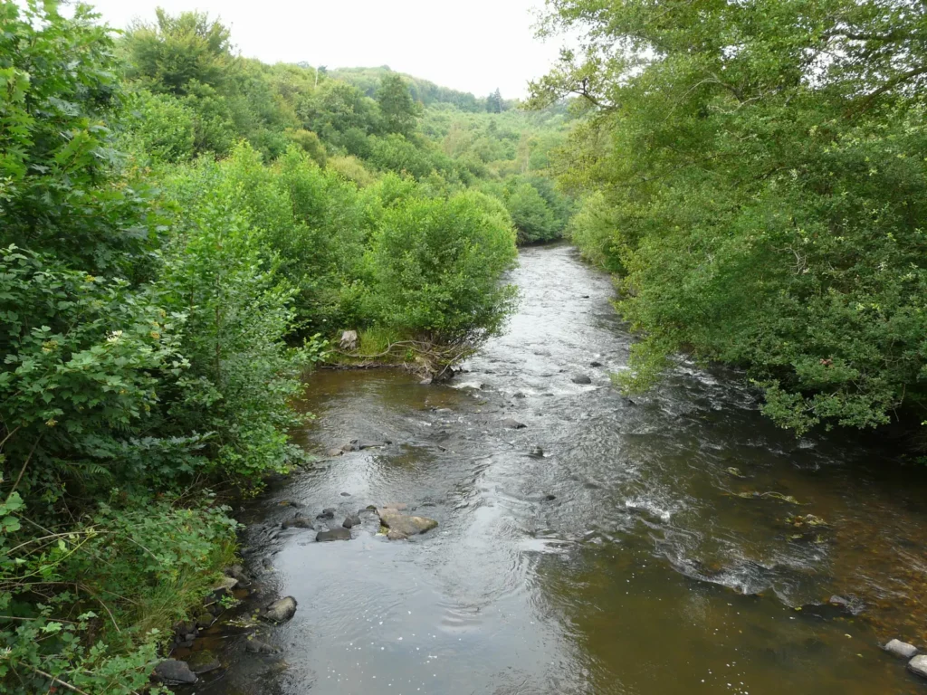 Jumilhac-le-Grand — l'Isle dans ses gorges boisées près de Jumilhac