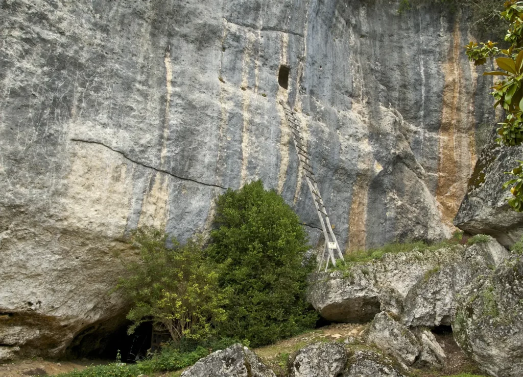 Les Eyzies — abri de Laugerie-Basse, paroi calcaire et échelle ancienne