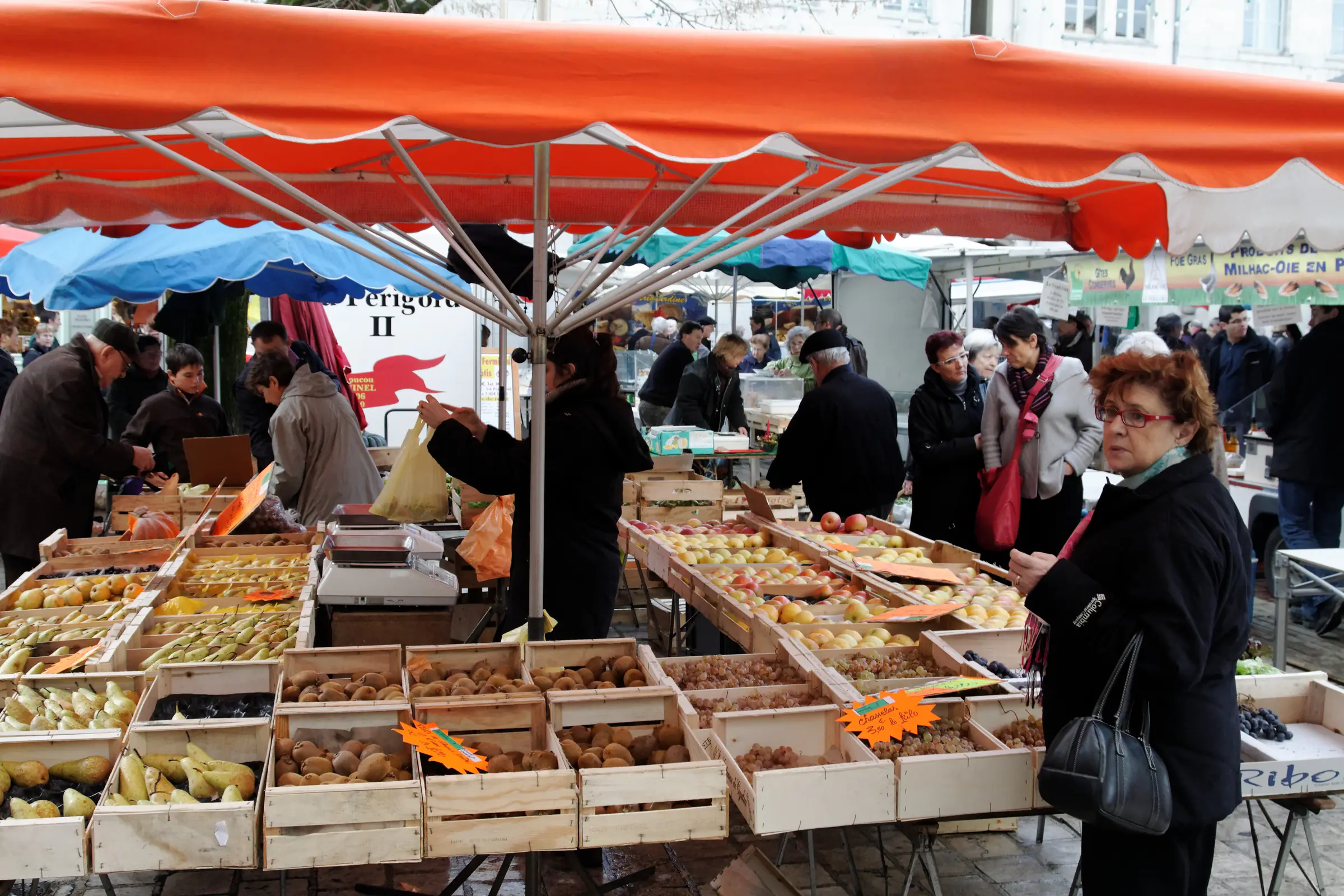 Étals de fruits et légumes sous les parasols du marché de Périgueux