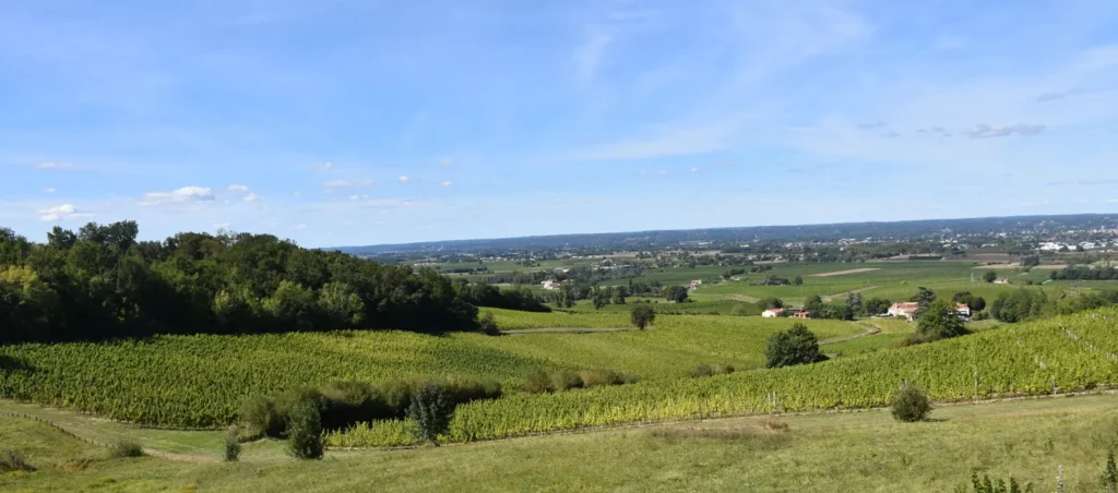 Monbazillac — panorama sur les vignes de Monbazillac et la vallée de la Dordogne