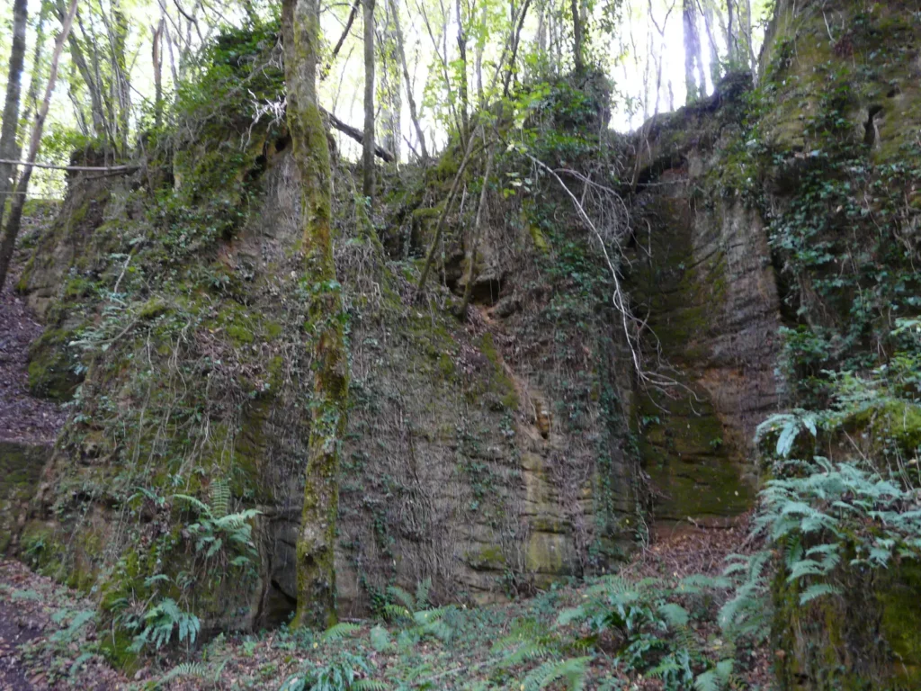 Parois rocheuses moussues le long de la voie verte Sarlat – Cazoulès à Carsac-Aillac