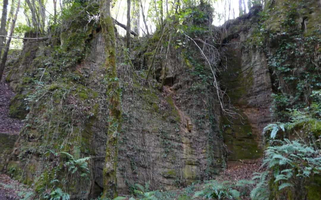 Parois rocheuses moussues le long de la voie verte Sarlat – Cazoulès à Carsac-Aillac
