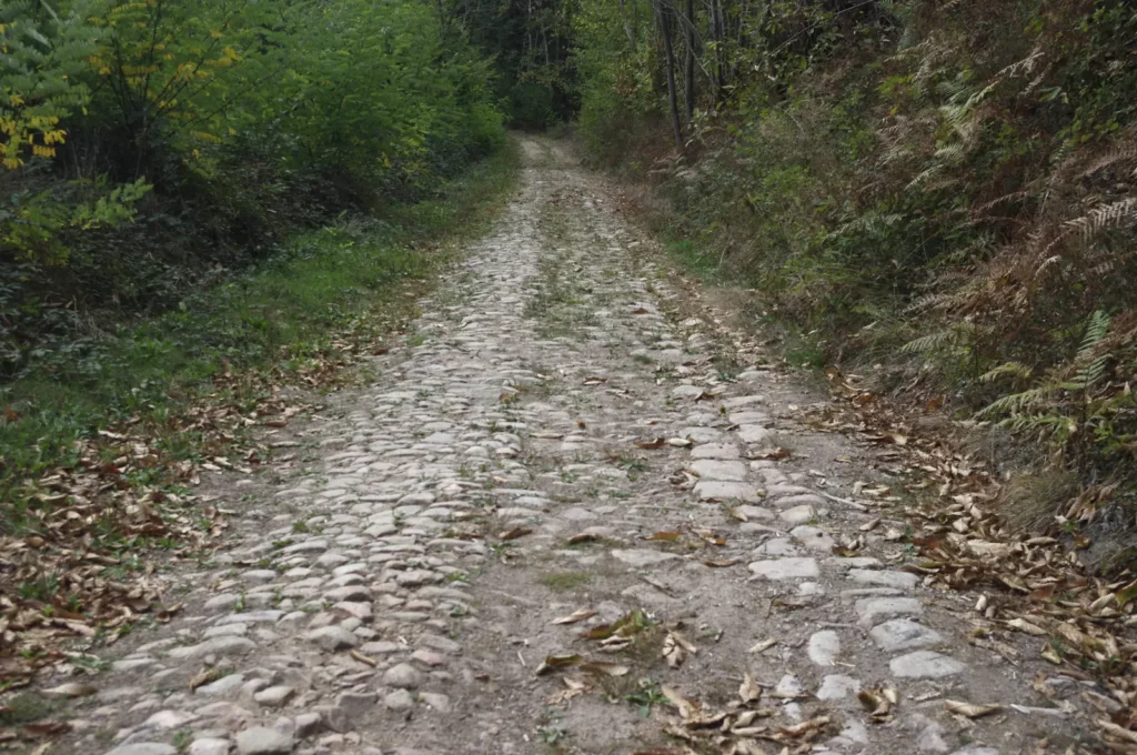 Piégut-Pluviers — tronçon pavé de l'ancienne voie romaine sous les châtaigniers
