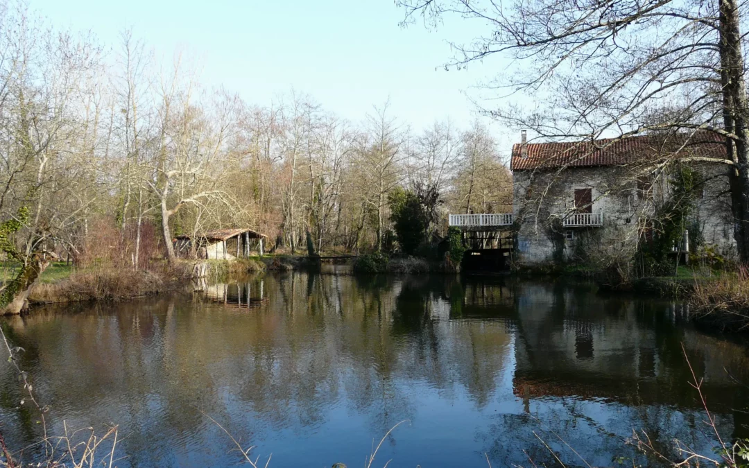 Ribérac — la Dronne et le moulin de Papalis à Ribérac