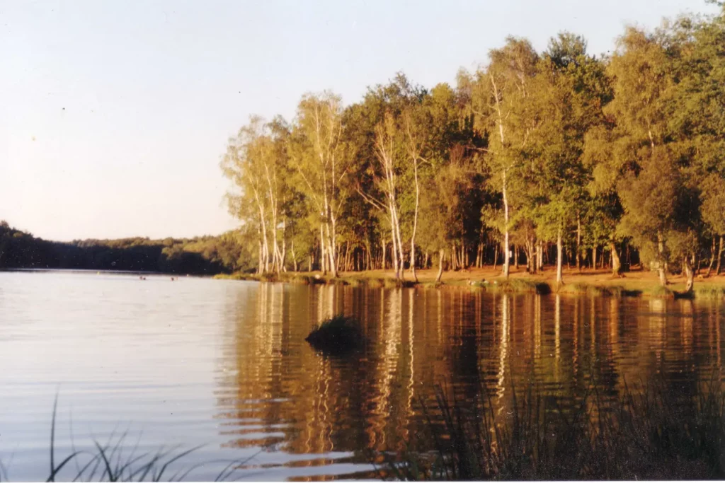 Roc Branlant et grand étang de Saint-Estèphe — le grand étang de Saint-Estèphe dans la lumière dorée du soir