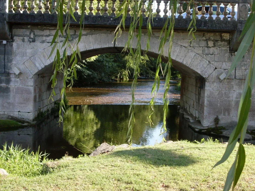Saint-Pardoux-la-Rivière — la Dronne sous le pont du bourg, entre saules