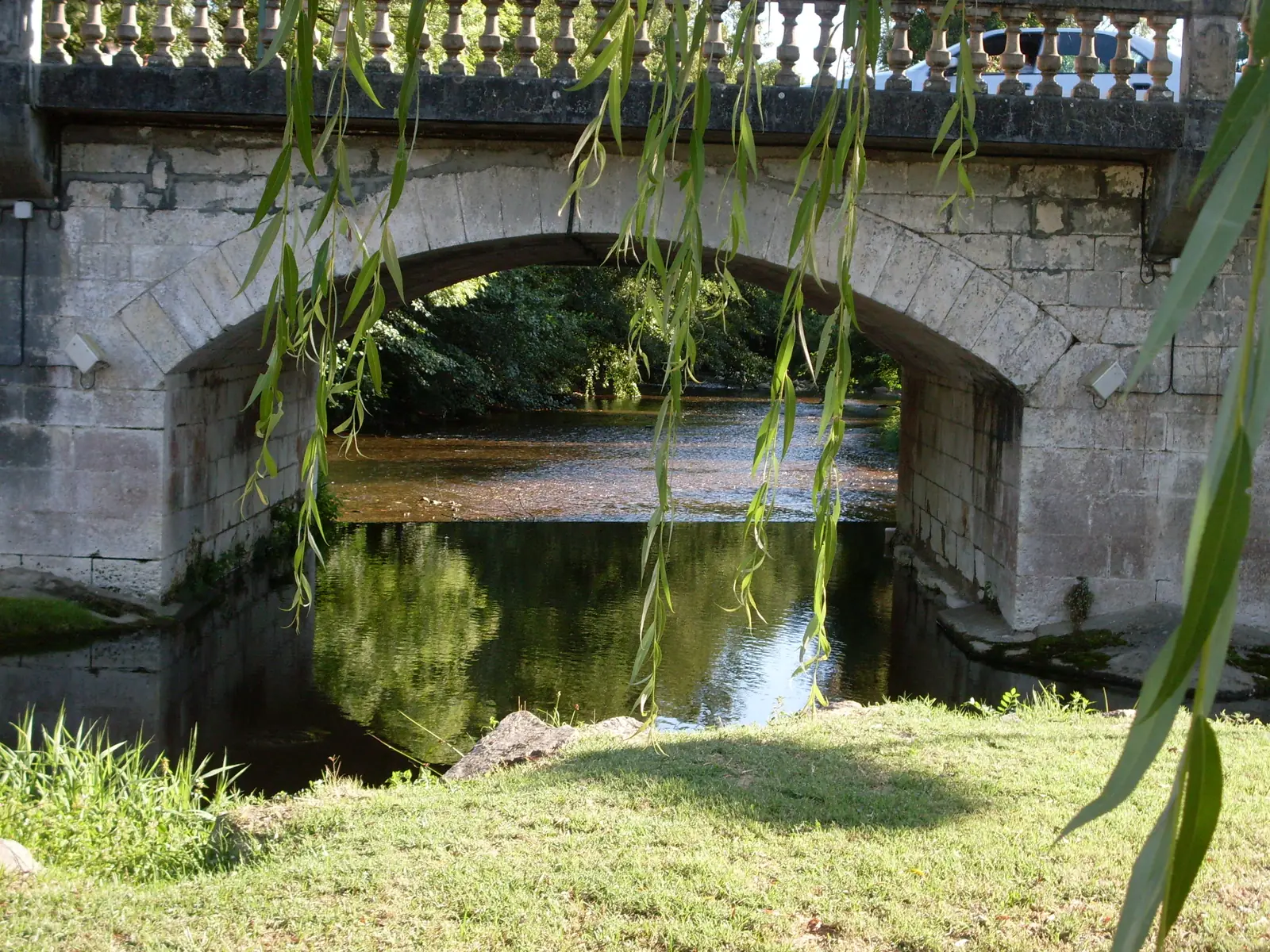 Saint-Pardoux-la-Rivière — la Dronne sous le pont du bourg, entre saules