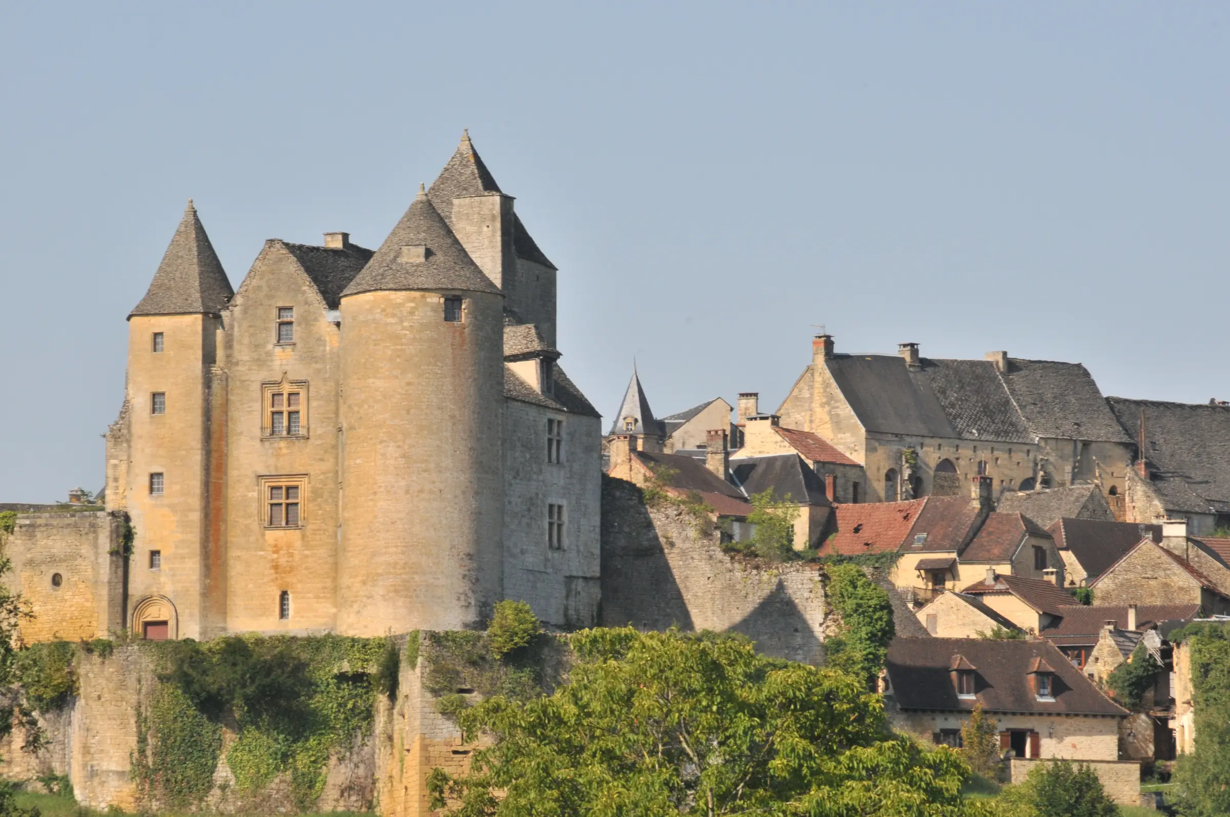 Salignac-Eyvigues — le château de Salignac dominant les toits du bourg