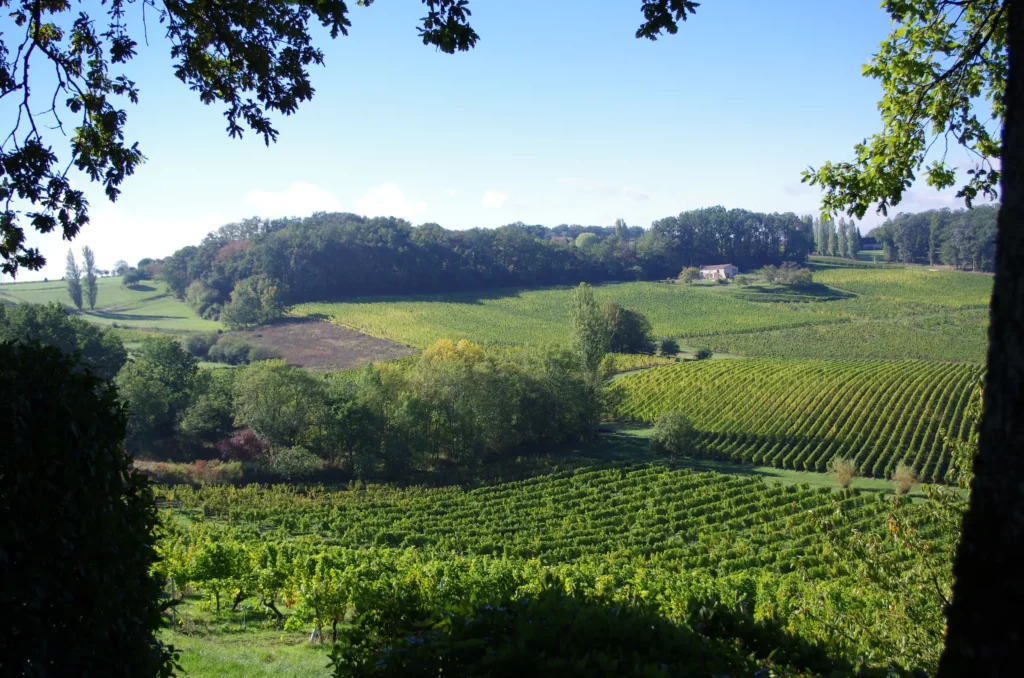 Saussignac