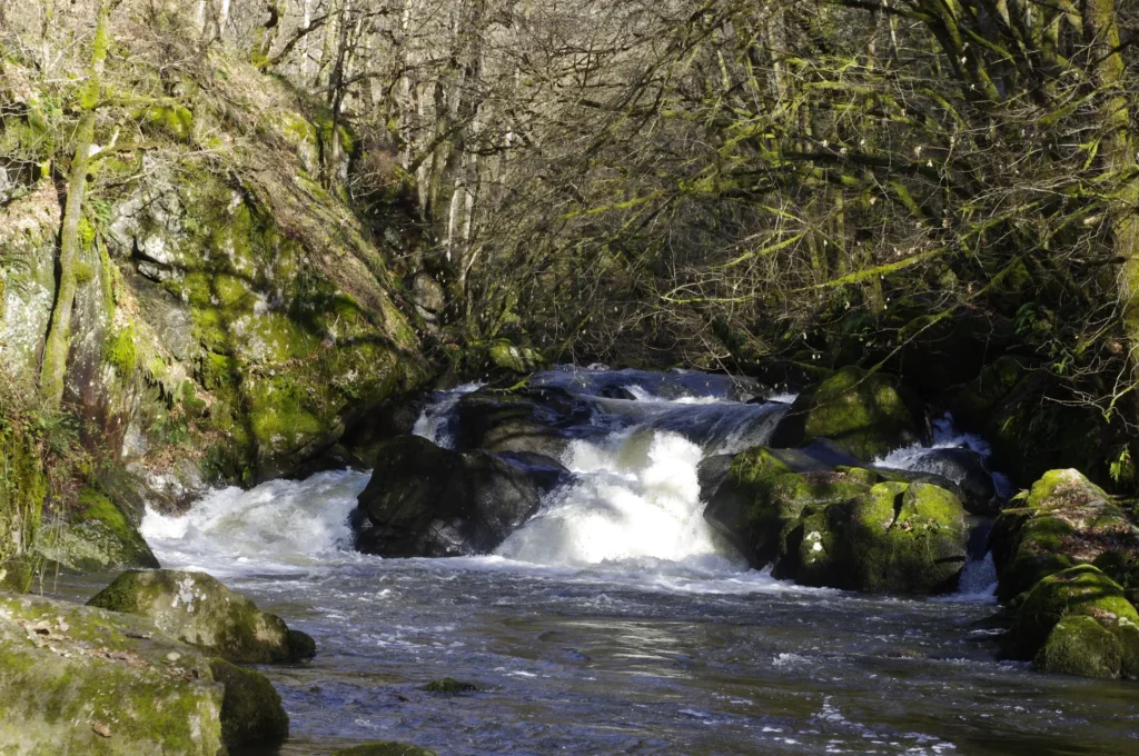 Saut du Chalard