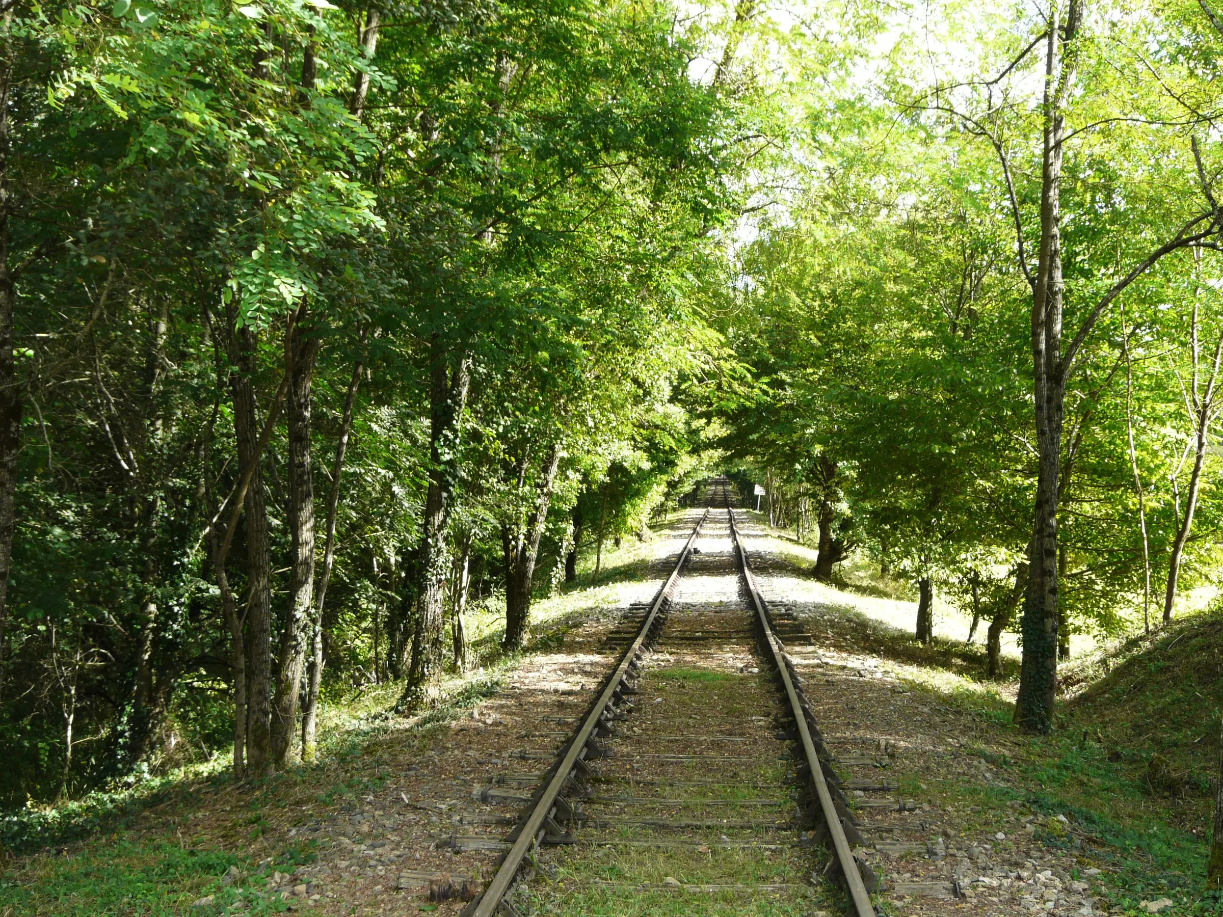 Vélorail du Périgord Vert — voie ferrée du vélorail sous un tunnel de verdure (Corgnac-sur-l'Isle)