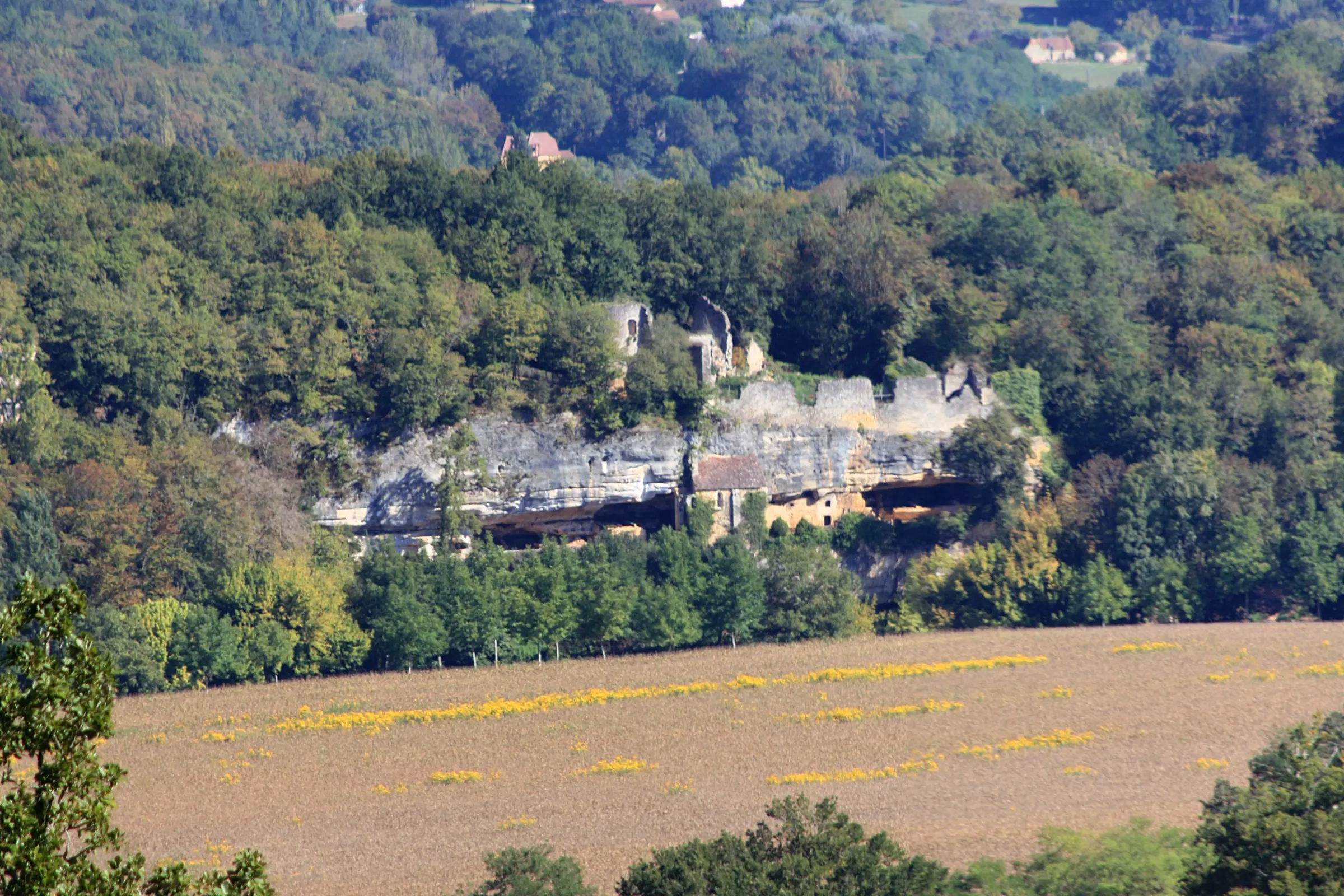 Village troglodytique de la Madeleine — le site de la Madeleine au-dessus de la Vézère