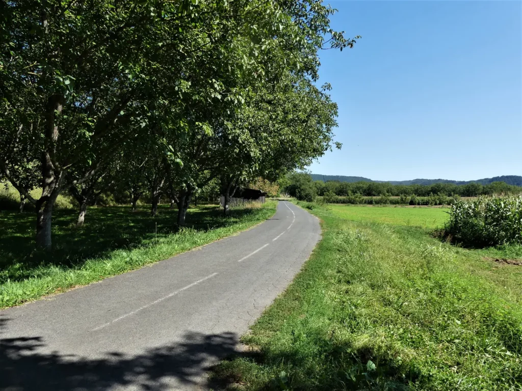 Voie verte Sarlat – Cazoulès dans la plaine de Peyrillac-et-Millac