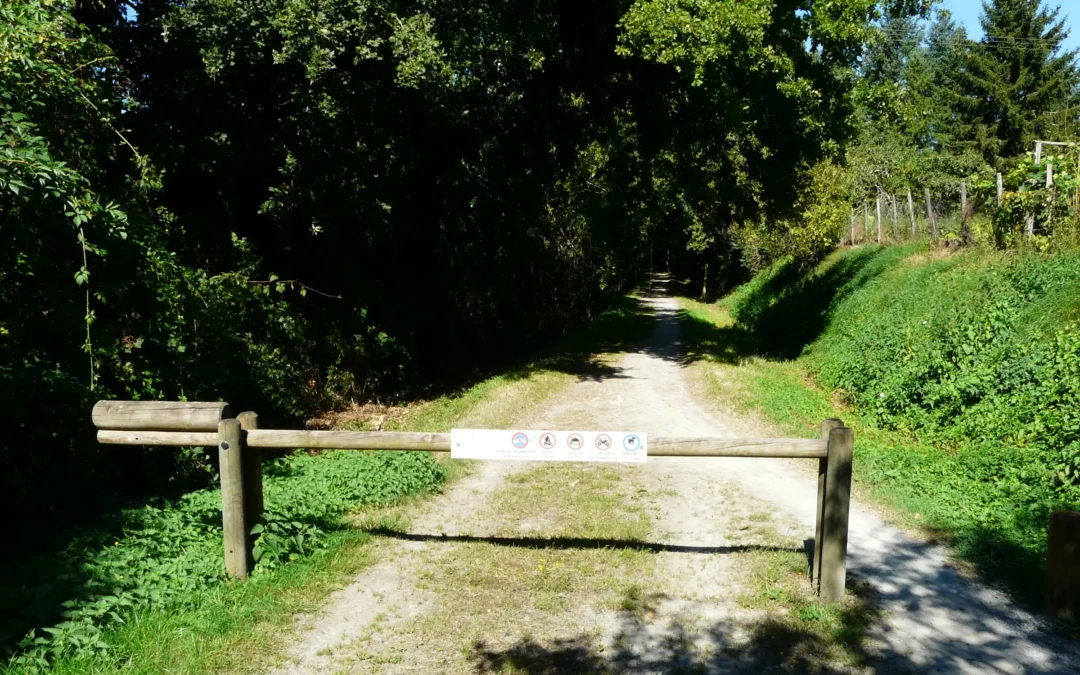 Voie verte Thiviers – Saint-Pardoux-la-Rivière sous les arbres à Saint-Romain-et-Saint-Clément
