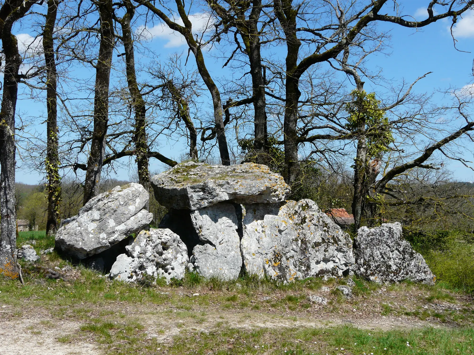 L'allée couverte du Blanc, près de Beaumont-du-Périgord, sous les chênes