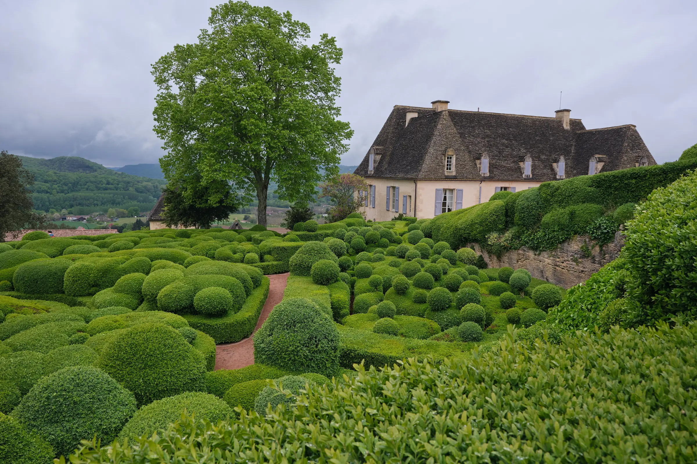 Les buis taillés en boules des jardins de Marqueyssac et le château, au printemps