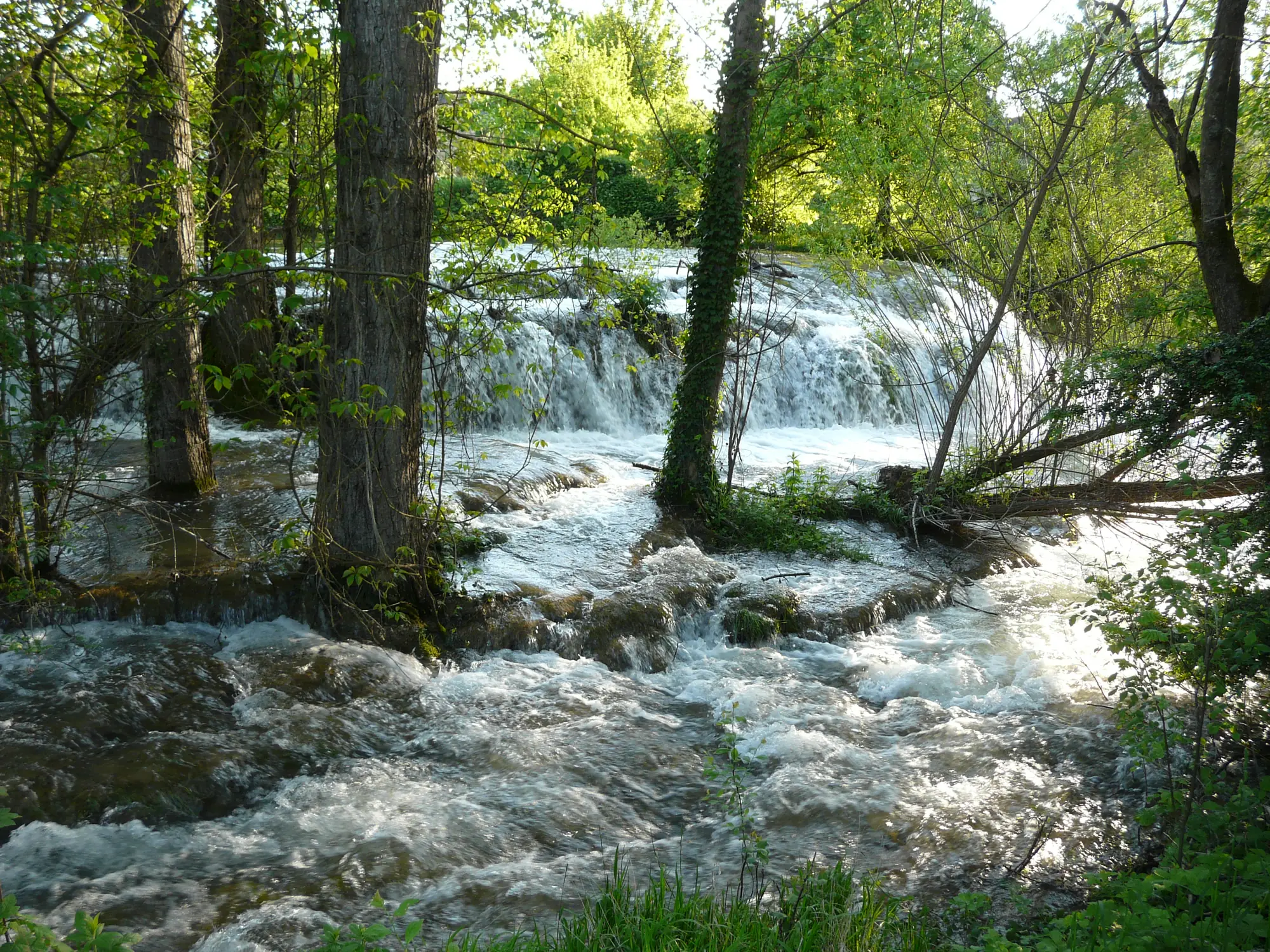 Les cascades du Coly sous les arbres, à Condat-sur-Vézère