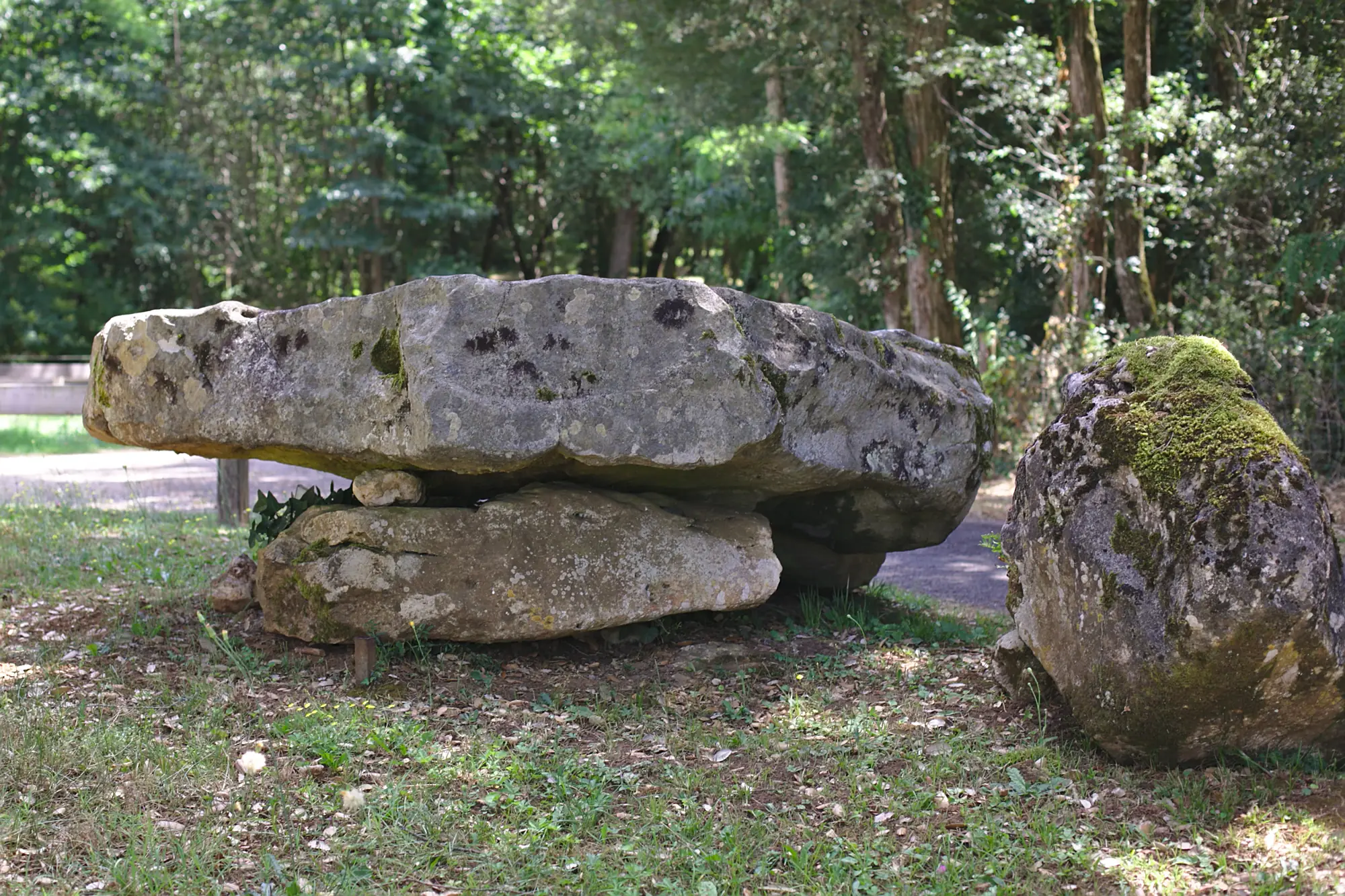 Le dolmen de Giverzac, près de Domme, en lisière de bois