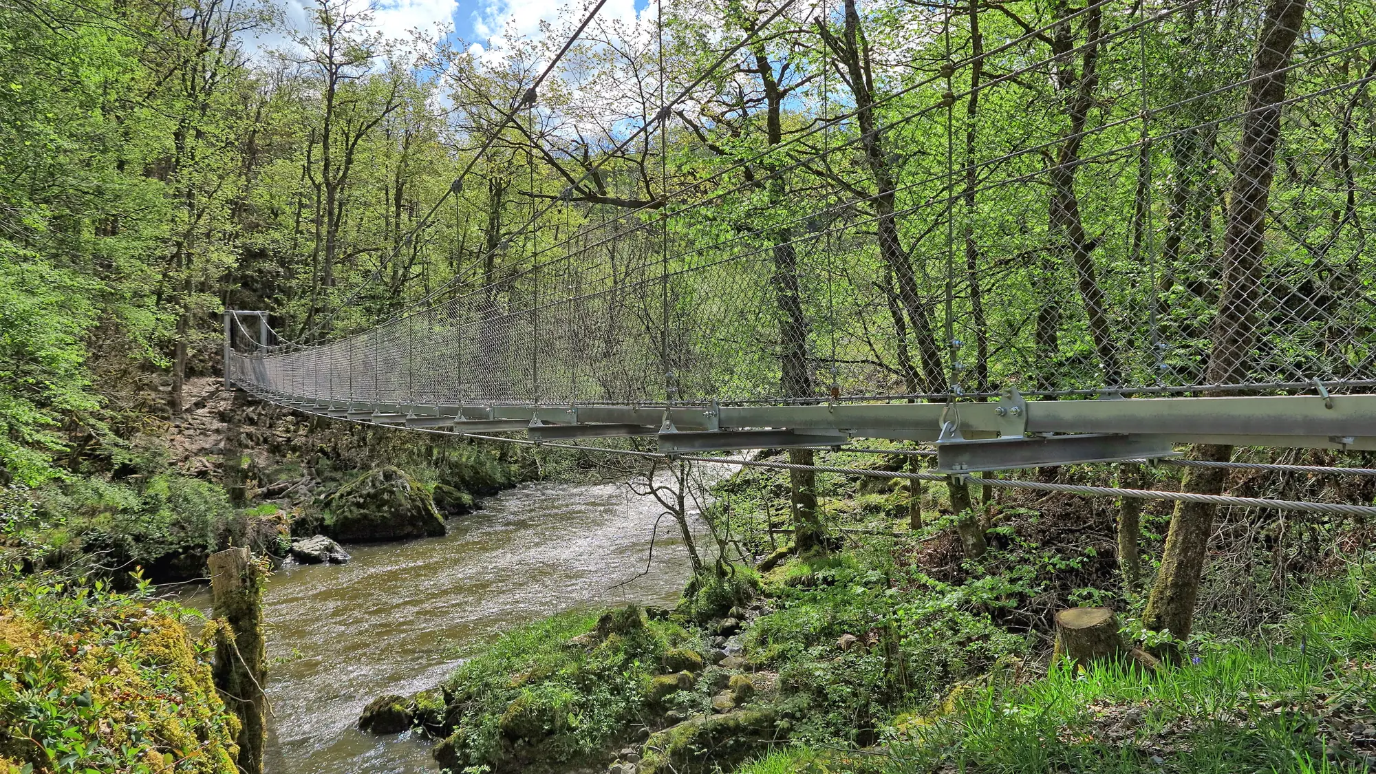 La passerelle suspendue au-dessus de l'Auvézère, à Saint-Mesmin, dans un sous-bois de printemps
