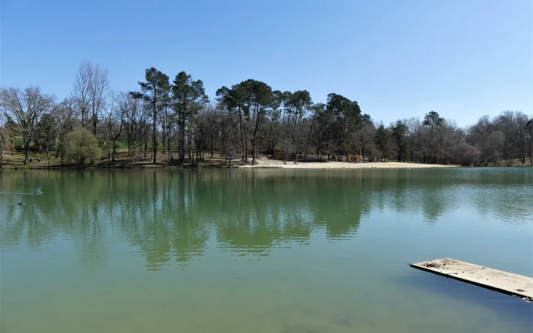 Le lac de Neufont, à Saint-Amand-de-Vergt : l'eau calme, la plage et les pins sous un ciel bleu