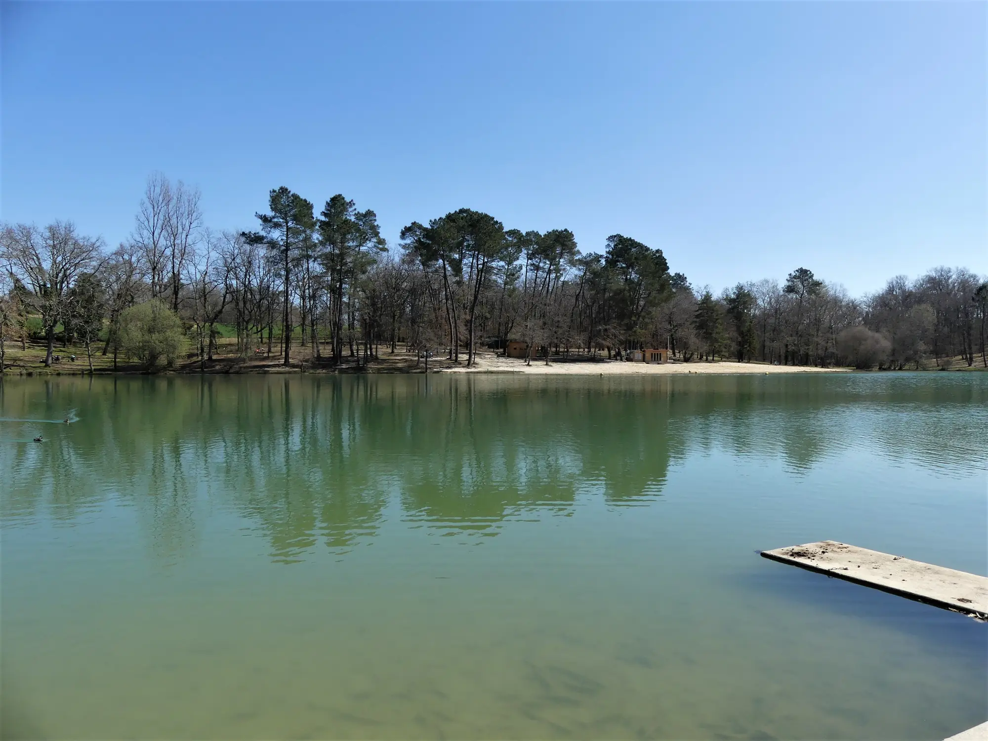 Le lac de Neufont, à Saint-Amand-de-Vergt : l'eau calme, la plage et les pins sous un ciel bleu