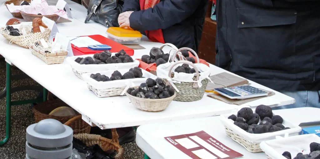 Paniers de truffes noires sur le marché aux truffes de Périgueux