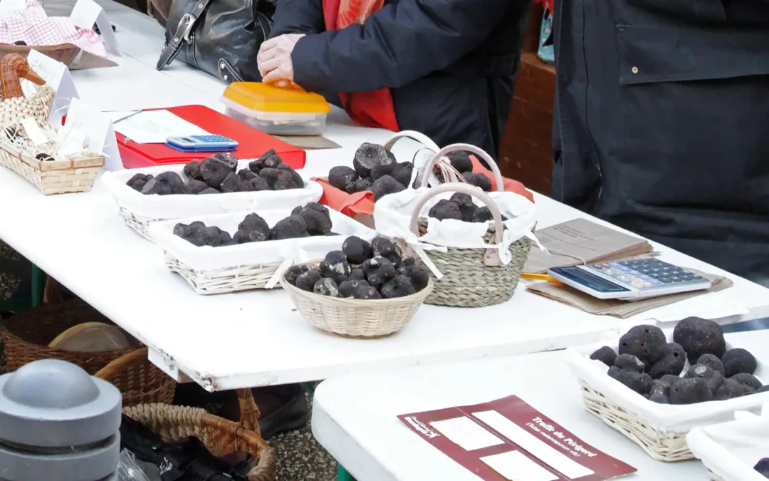 Paniers de truffes noires sur le marché aux truffes de Périgueux