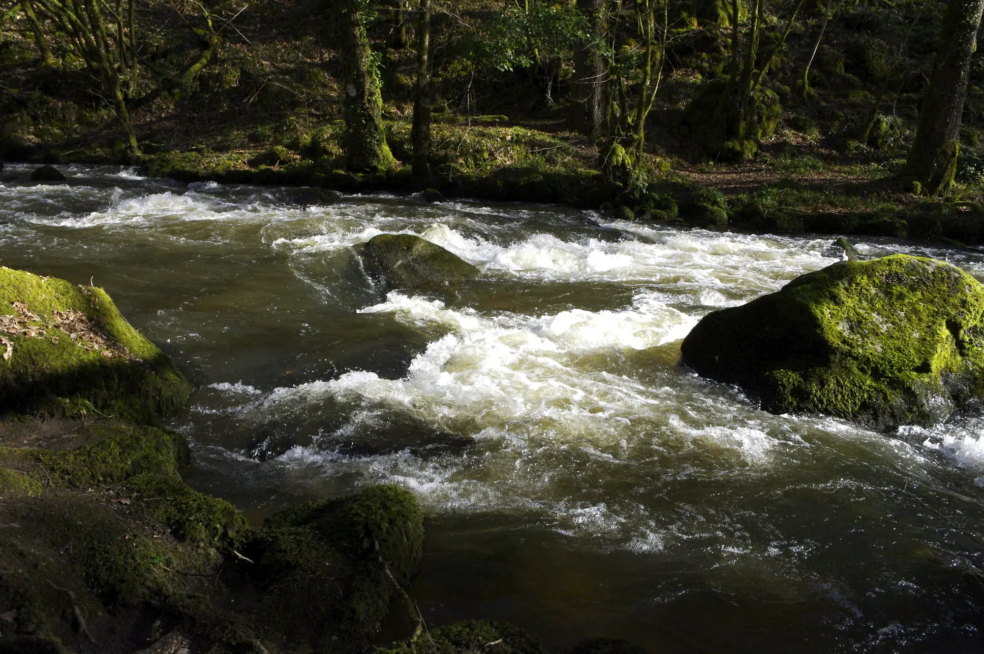 La Dronne en cascade entre les blocs de granite moussus du Saut du Chalard